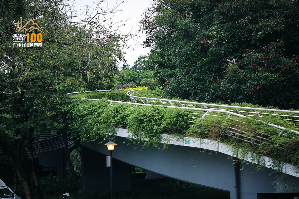 广州100越野赛0503_C (422)