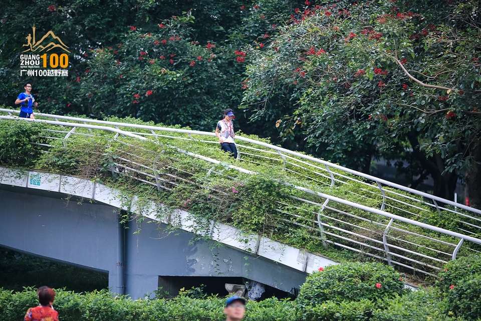 广州100越野赛0503_C (425)