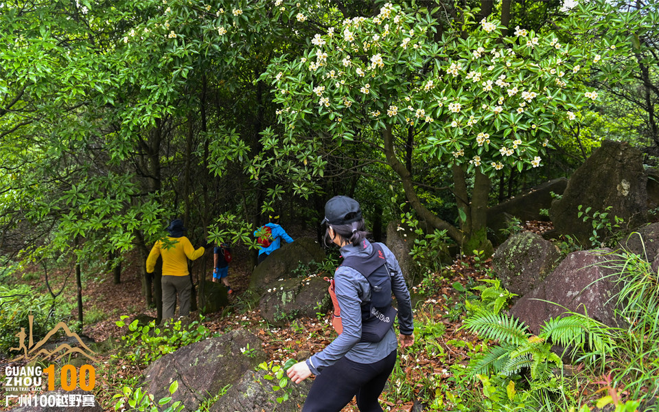 广州100越野赛0504_B (33)