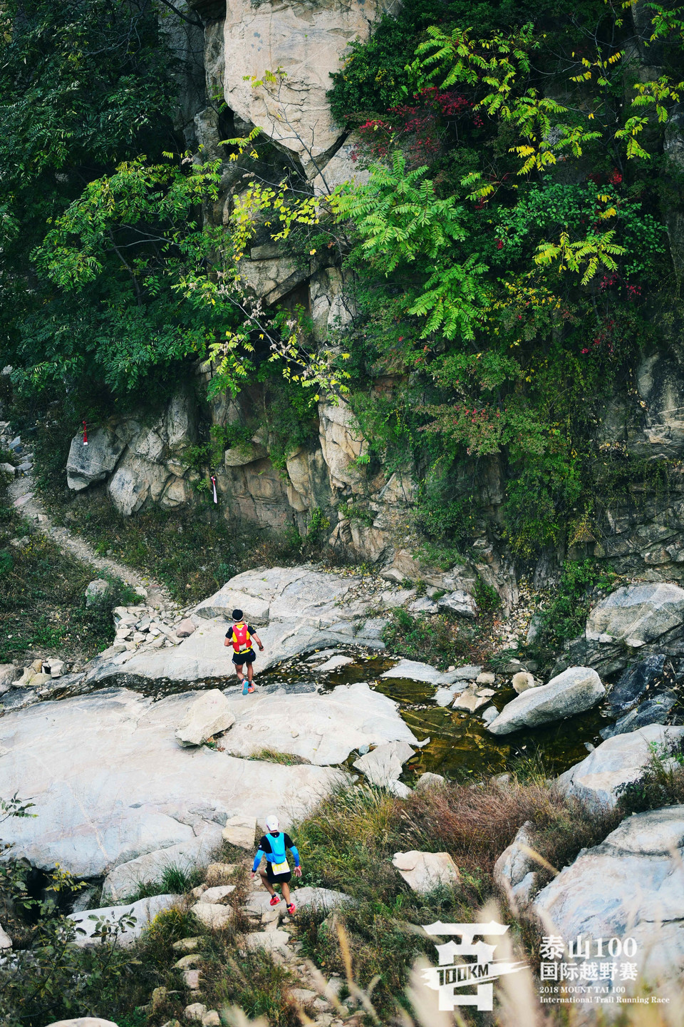 微信图片_201810131819066