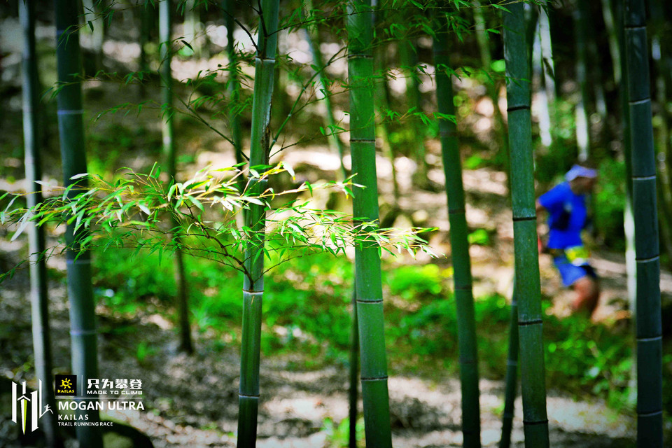 _DSC3826_mix01_mix01_wm