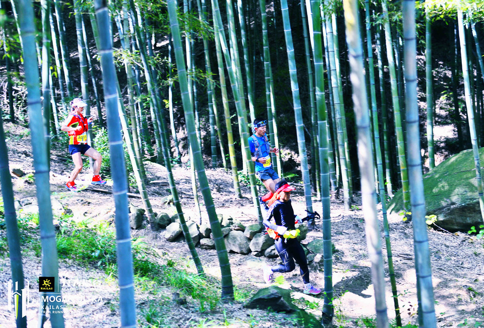 _DSC4041_mix01_wm_mix01