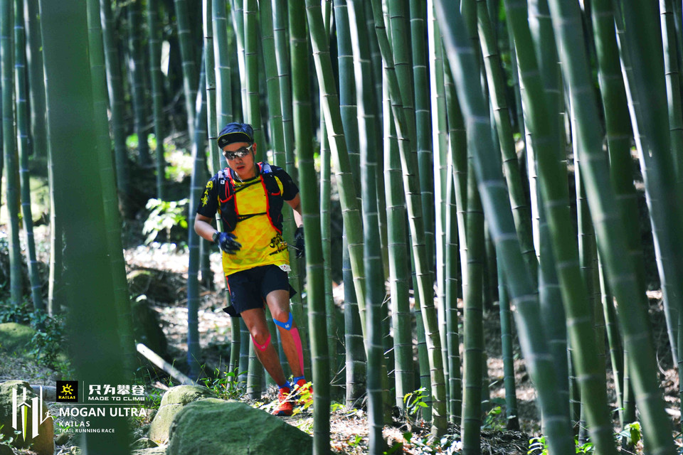 mmexport1540823417285_mix01_wm