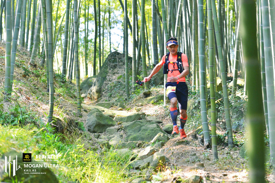 mmexport1540823435667_mix01_wm