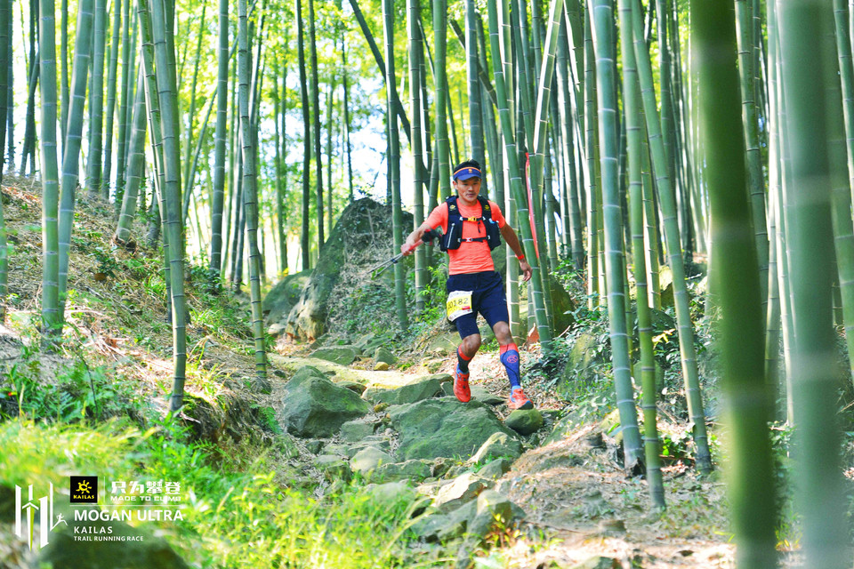 mmexport1540823504480_mix01_wm