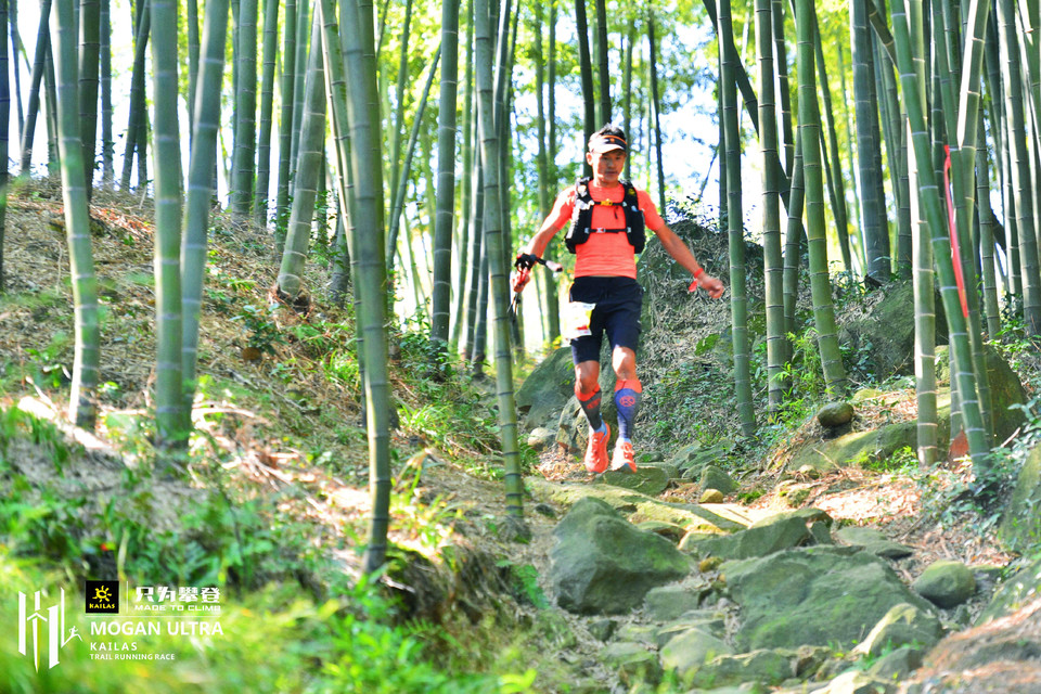 mmexport1540823537273_mix01_wm