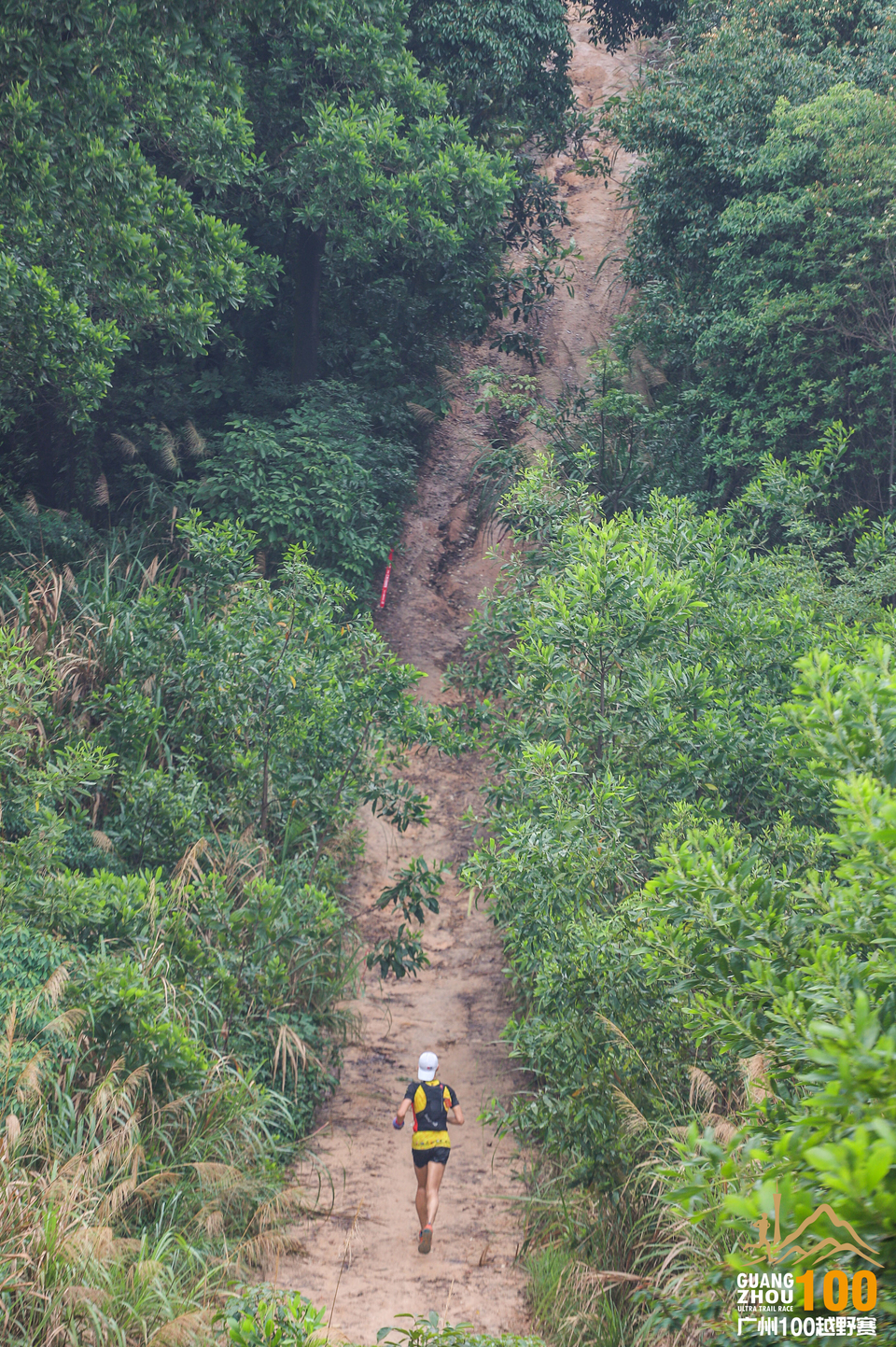 微信图片_20190525105310