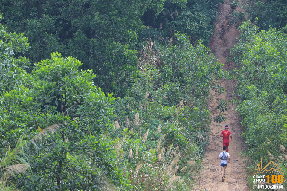 微信图片_20190525110004