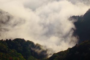 醉美的莫干山国际旅游度假区