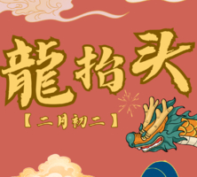 春龙抬首·鸿运当头——千灯湖亲子龙舟春日【千灯湖】