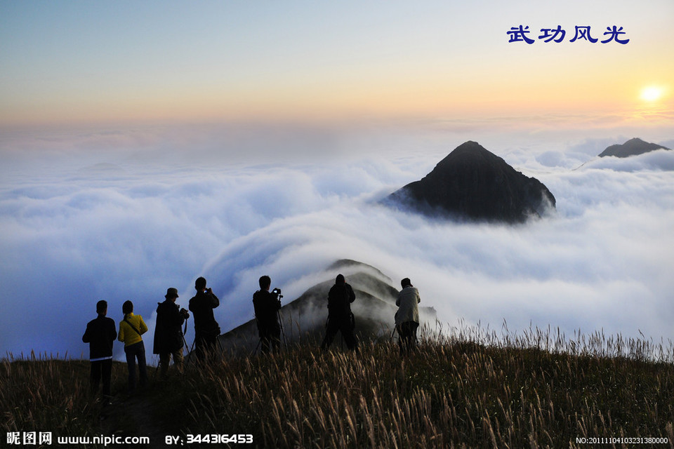 8651124_103231380000_2