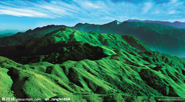 1997214_144647345107_2