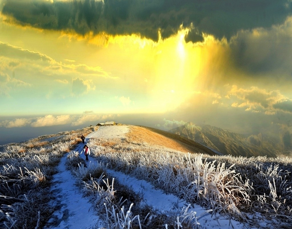 6533169_201040622177_2