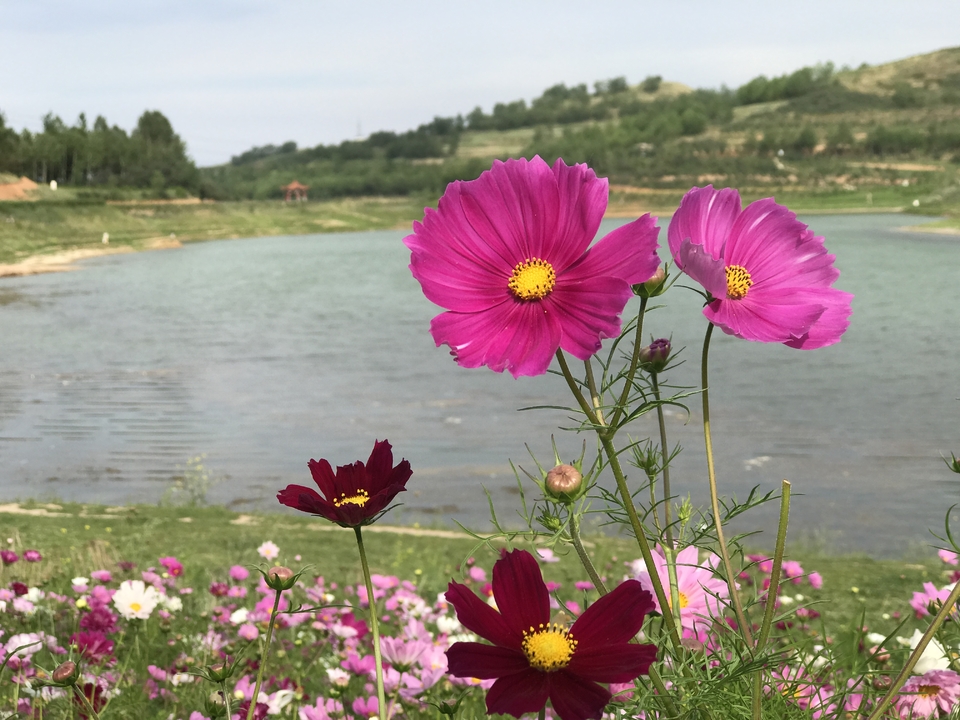 微信图片_20180321094907