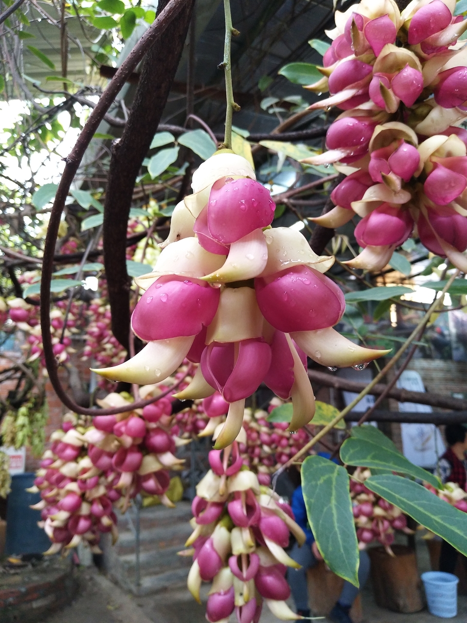 微信图片_20180321120233