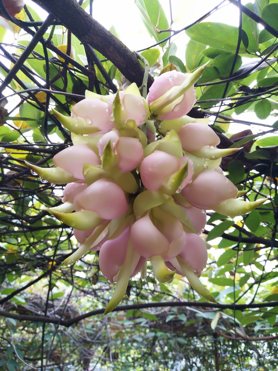 微信图片_20180321120258