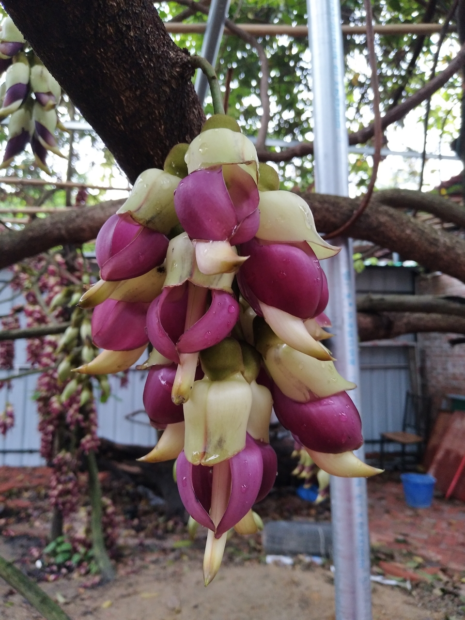 微信图片_20180321120309