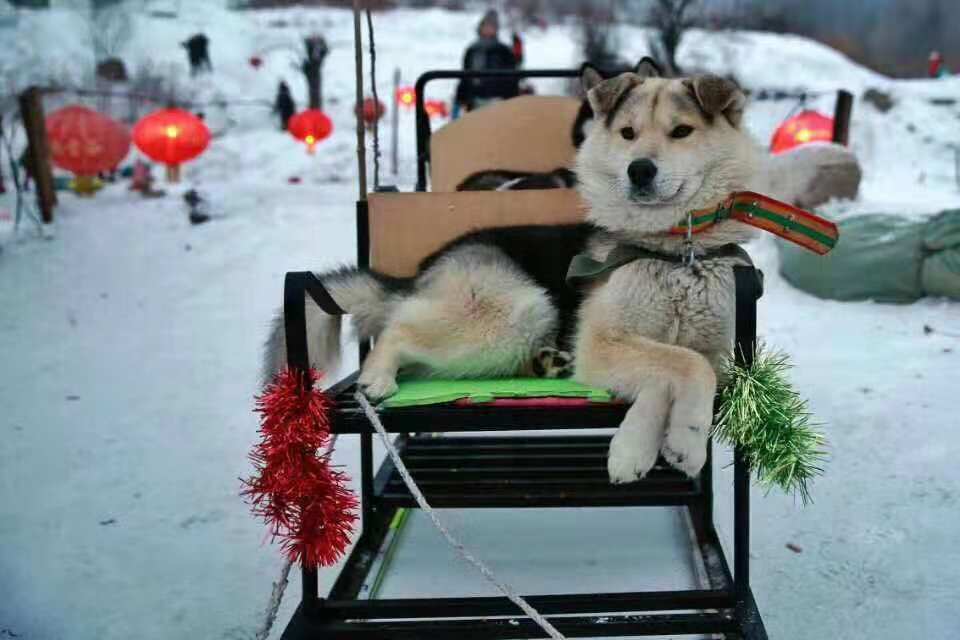 微信图片_20181012103403