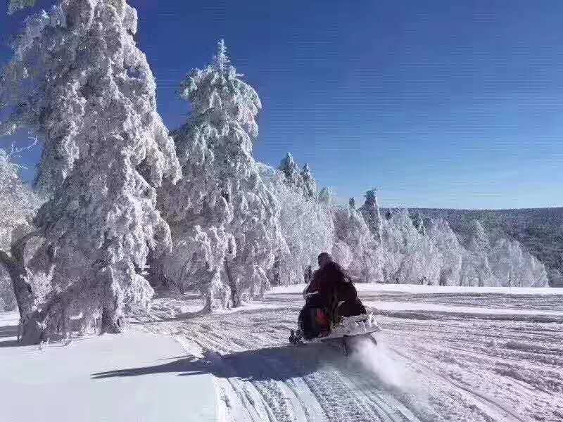 微信图片_20181012103422