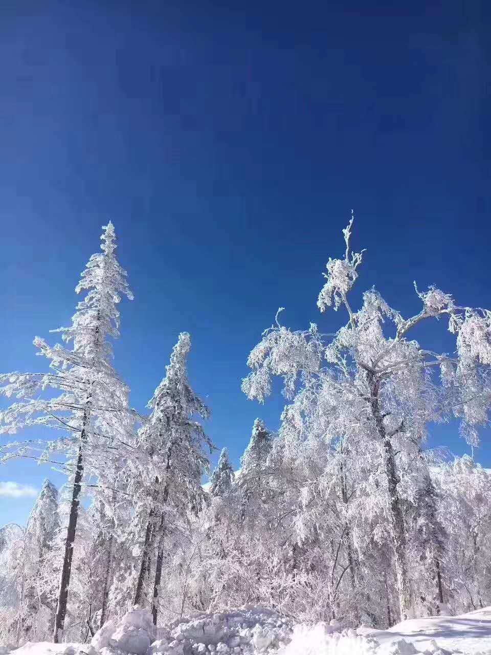 微信图片_20181012103425