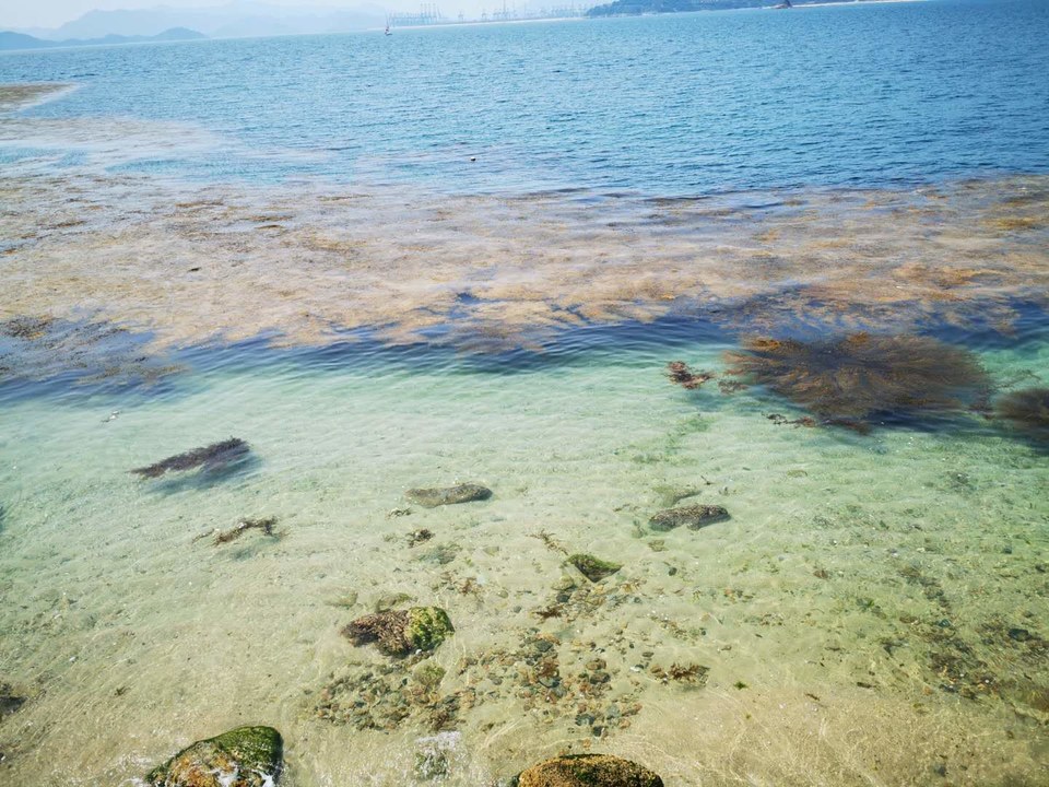 7qu3l700m-yxrI-0LSolGPwWfODKU2p_JaD0H04iulBJ-va-1QstgNkCN1i2DAdR