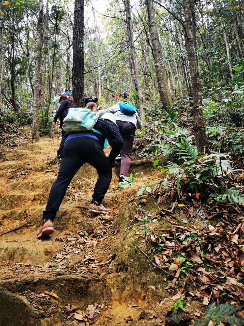 r0f96ijgCz3EXIcK8CX-dxz84hvGW9hSUohnxzKX2u_GzzP1y8c1sIz4l7DBjMgQ