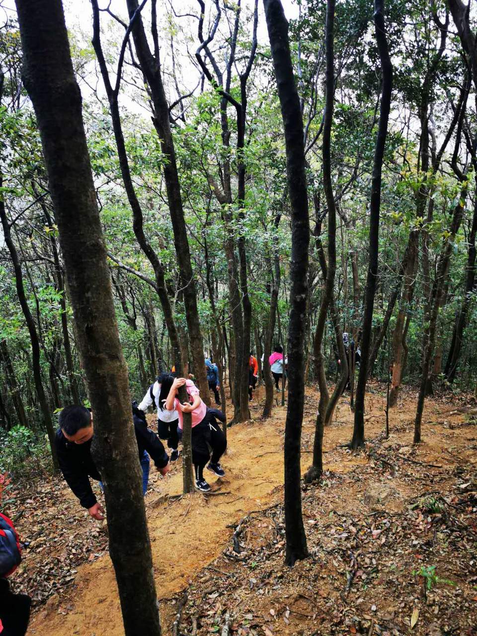 Uqg8ZWDgZ6cA482YBshMB-gdq7Zs3Hix3nsA3fsgFpxQygXDN9suvfscz1bVG2lW