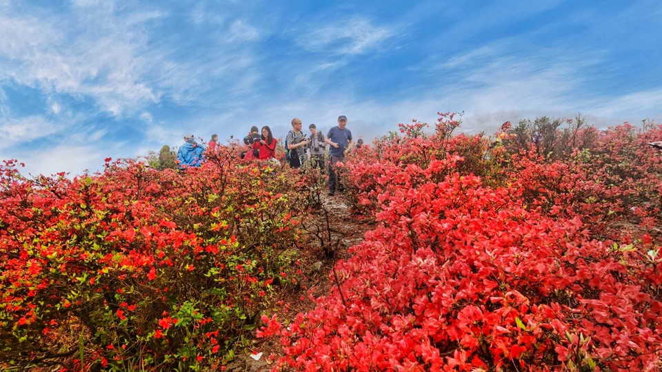 PxY-Z6myFerGLWq1CcSFFfJ9W39JeT4WiwquKMfbOOww5Jp95wEqYMPxJ3u1_UVB