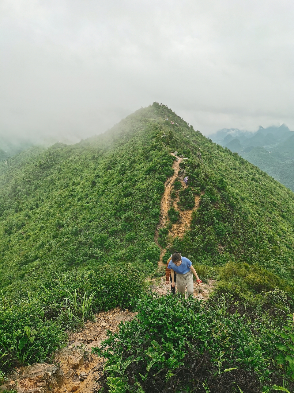 微信图片_202306281132261