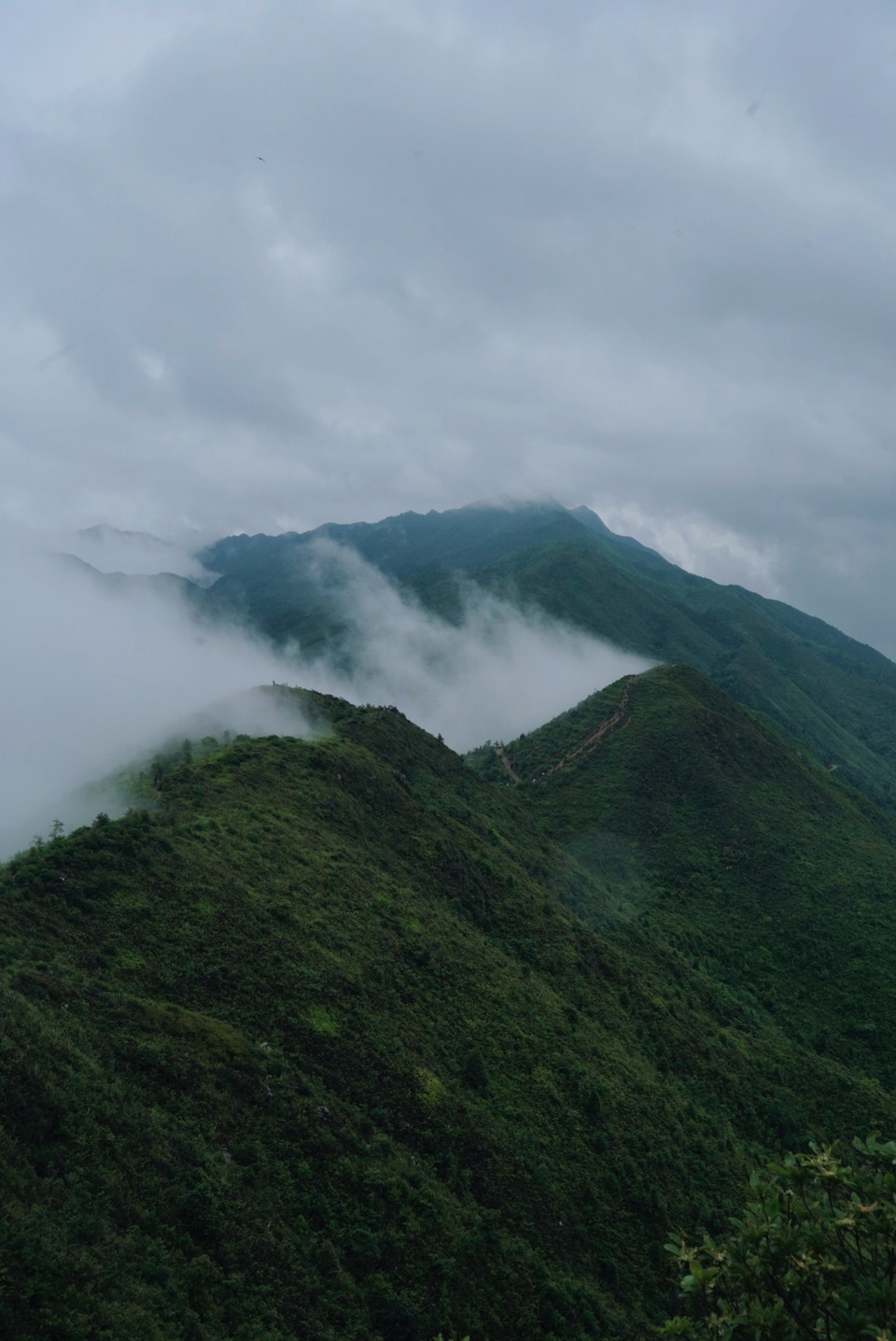 微信图片_202306281132269