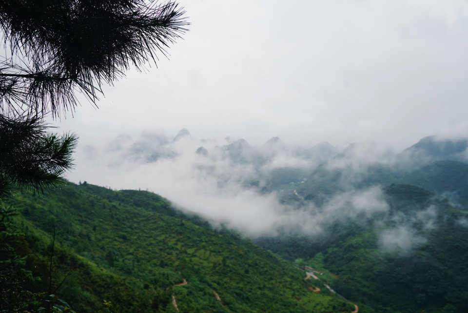 微信图片_2023062811322611