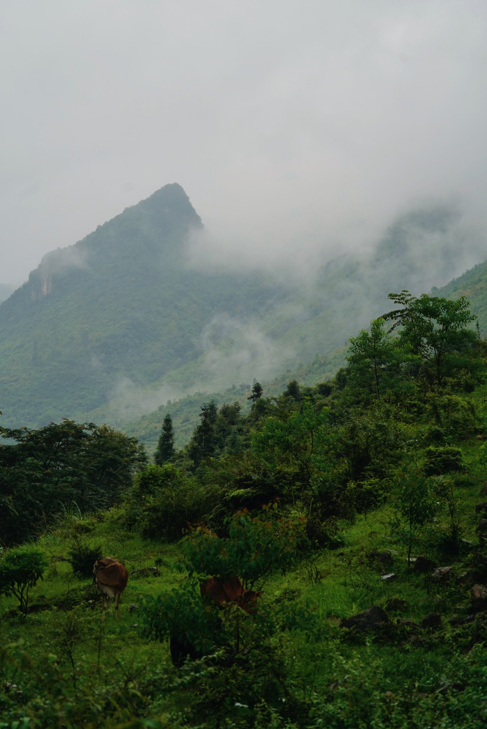 微信图片_2023062811322615