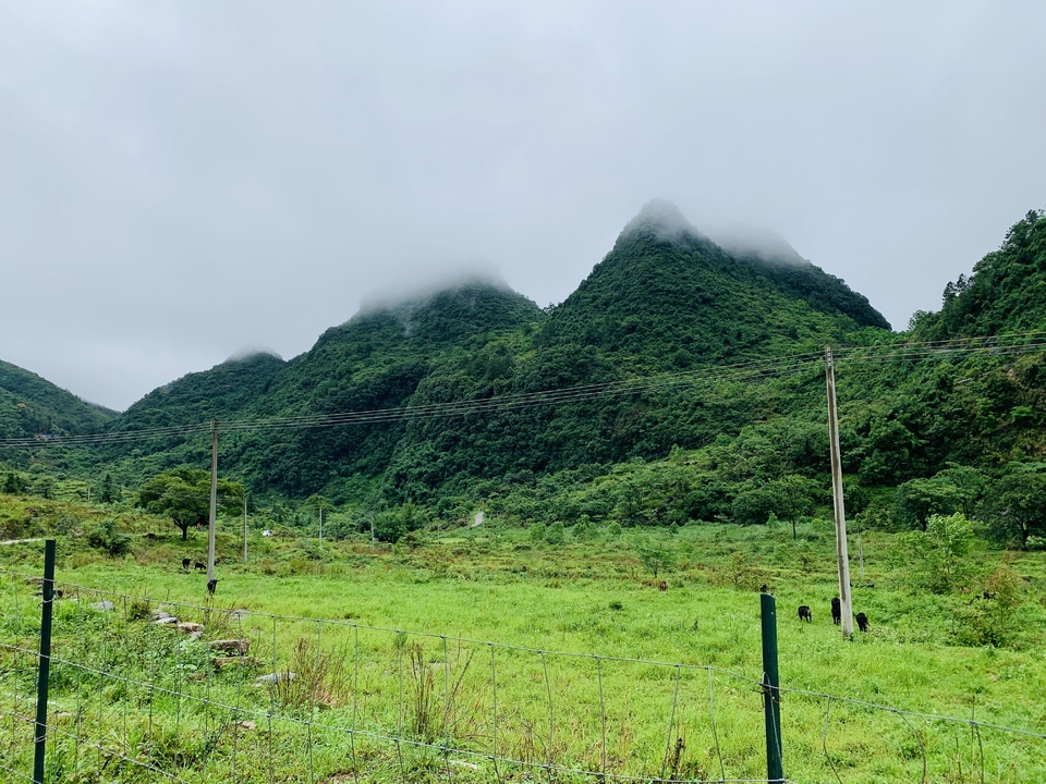 微信图片_2023062811322616