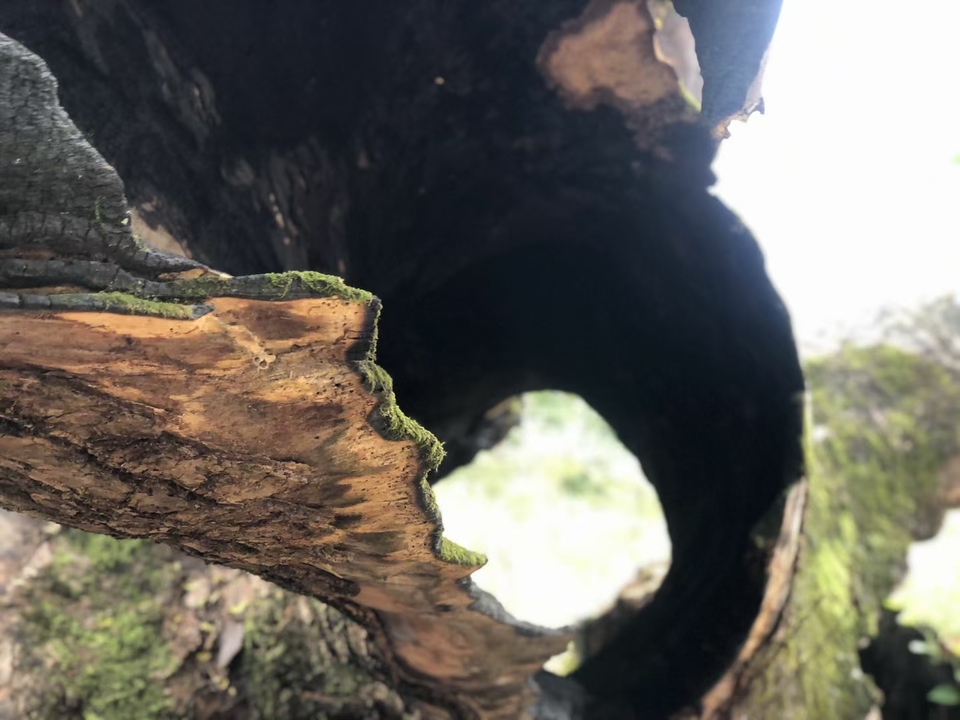 微信图片_20201027105416