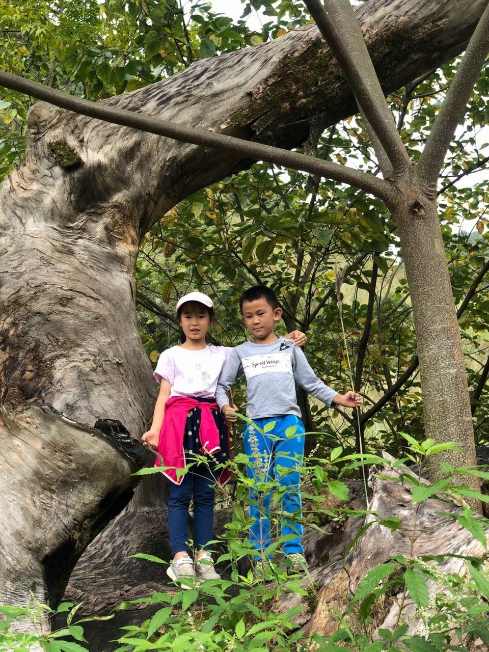 微信图片_20201027105425