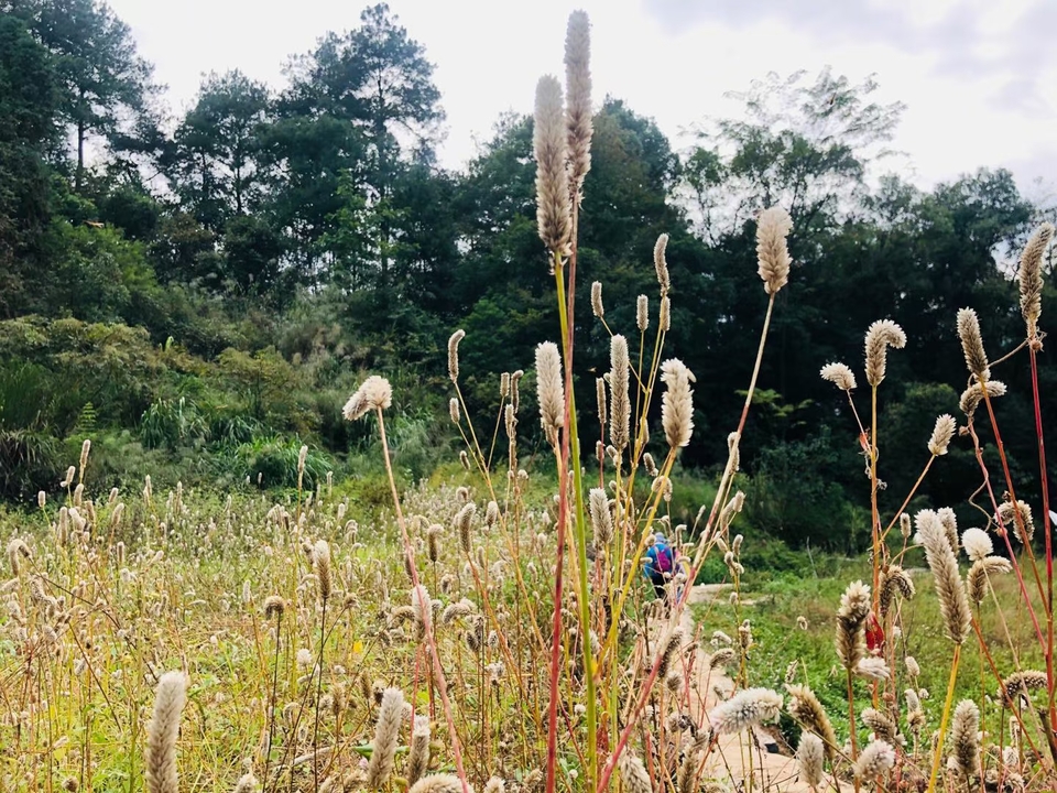 微信图片_20201027105429