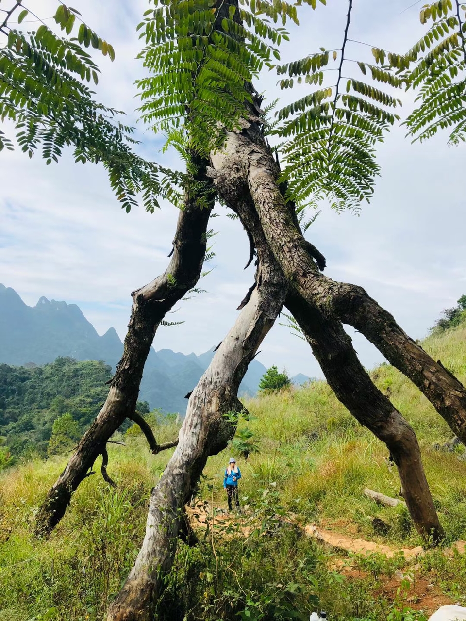 微信图片_20201027105436