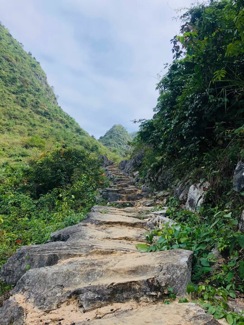 微信图片_20201027105440