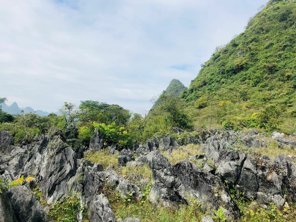 微信图片_20201027105444