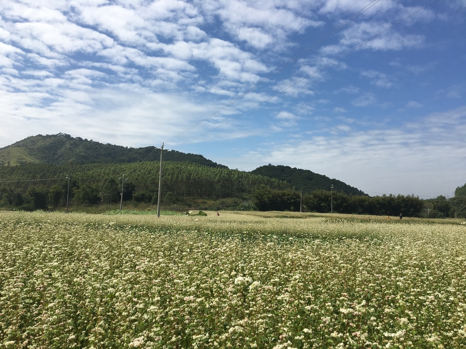 微信图片_20201027110411