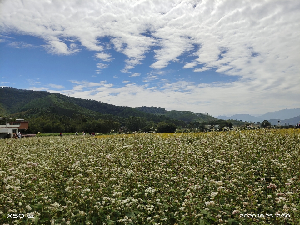 微信图片_20201027110419