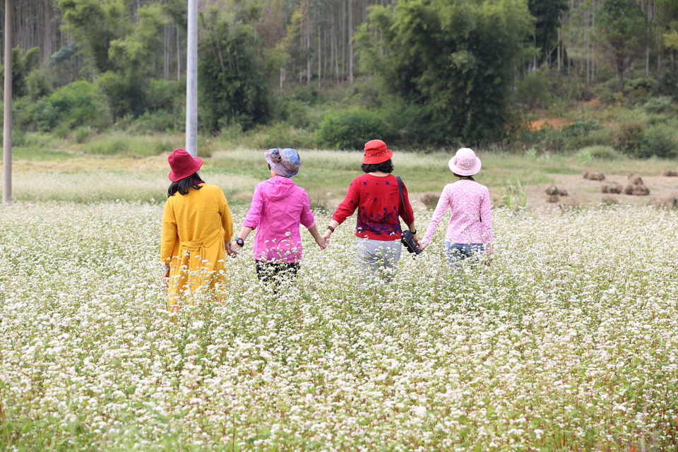 微信图片_20201027110434