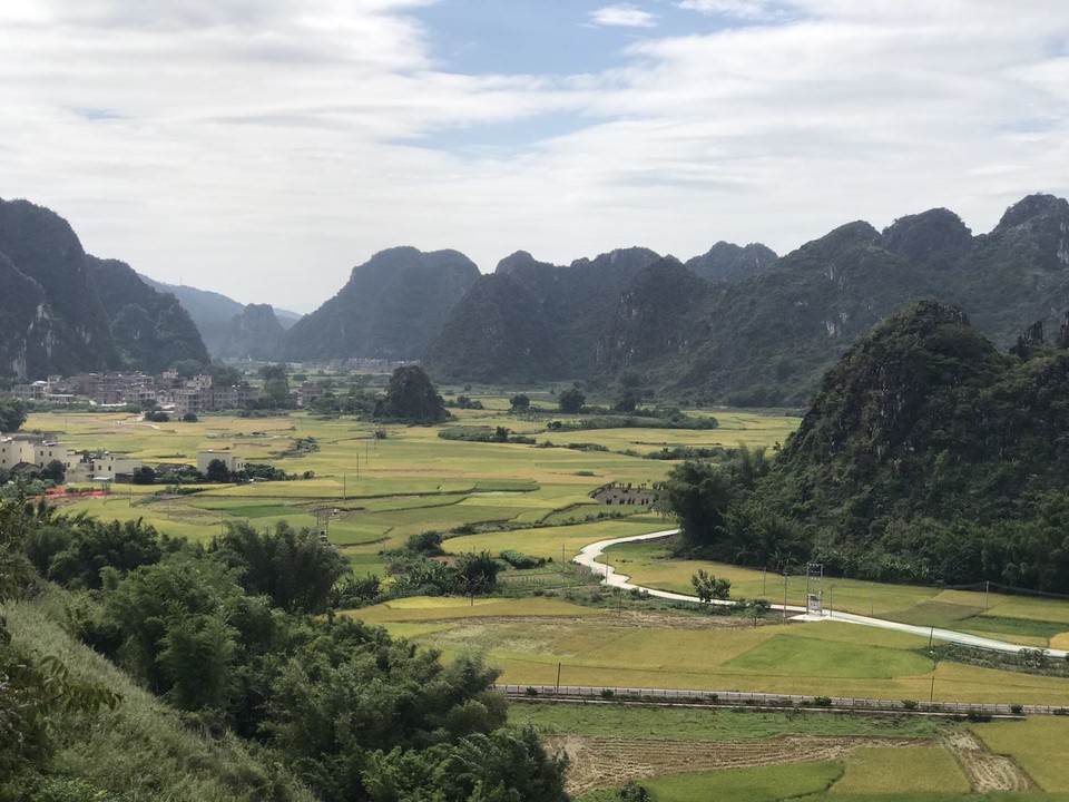 微信图片_20201027111645