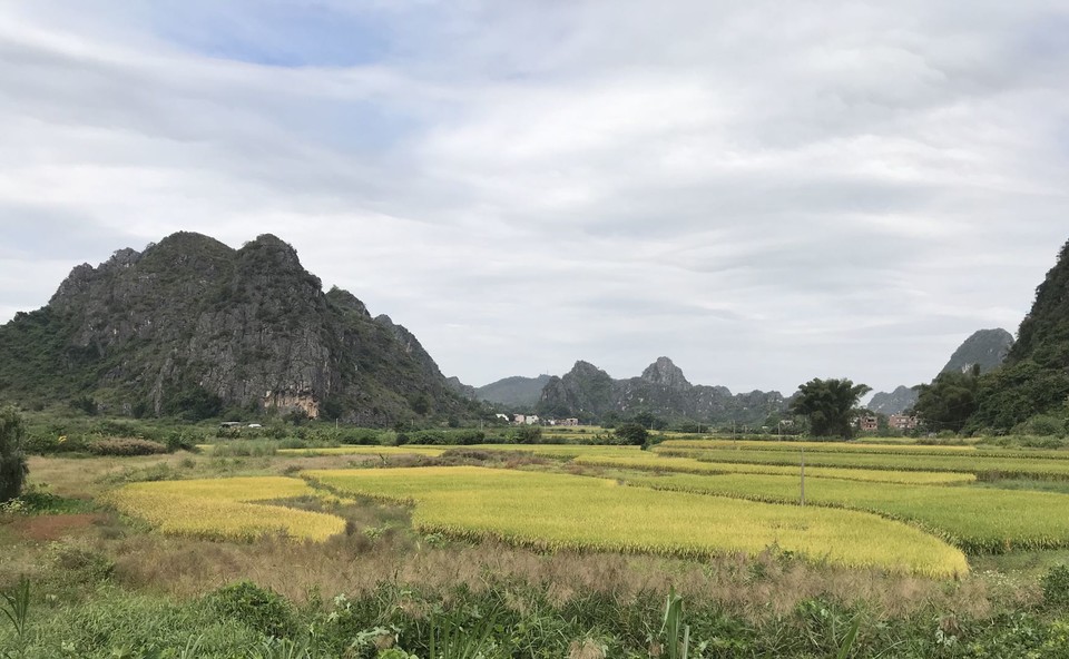 微信图片_20201027111703