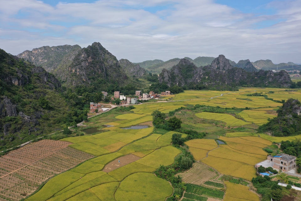 微信图片_20201027111708