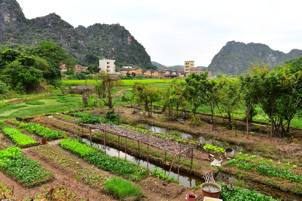 微信图片_20201027111716