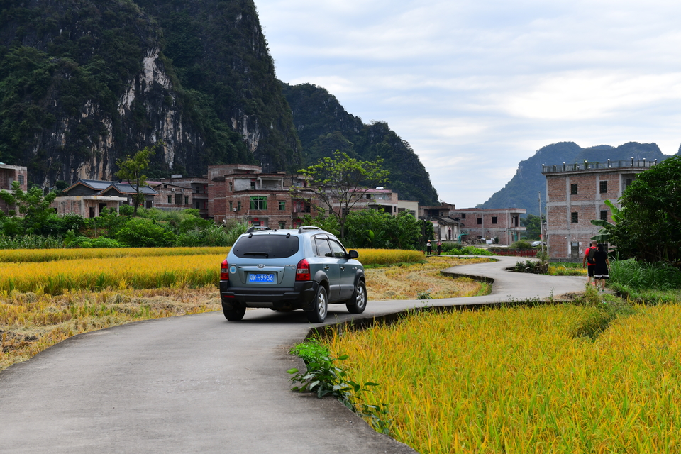 微信图片_20201027111720