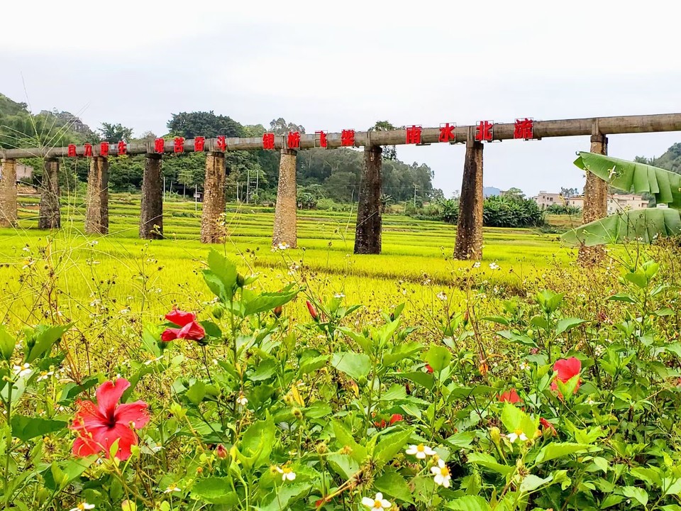 微信图片_20201027111723