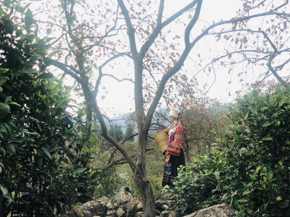 微信图片_20201102123012