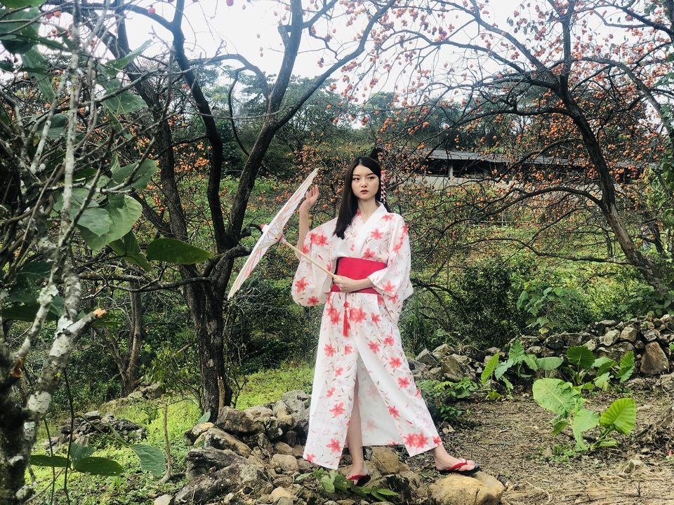 微信图片_20201102123008